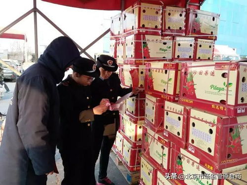 豐臺區(qū)開展節(jié)前食品安全專項檢查, 年貨新寵 成檢查重點