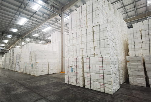 山東國際大宗商品交易市場指定交收倉庫總面積超70萬㎡