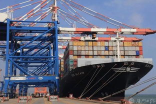 剛剛,廈門曬出上半年經(jīng)濟 成績單 這些數(shù)據(jù)亮了