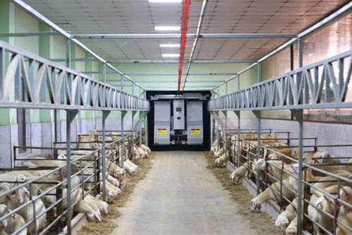 農業“雙強”行動結碩果，浙江農業生產更高效，集裝箱租賃助力產業升級