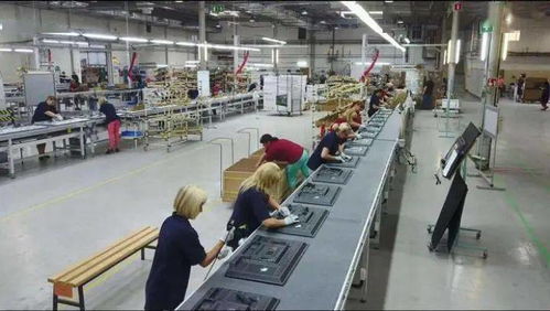 成都青白江 以開放產(chǎn)業(yè)為核心，推動(dòng)集裝箱購(gòu)銷高質(zhì)量發(fā)展